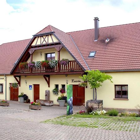 Les Chambres Du Vignoble Ammerschwihr Exterior foto