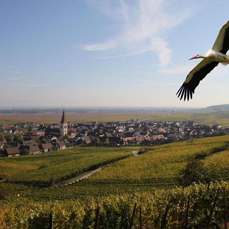 Les Chambres Du Vignoble Ammerschwihr Exterior foto